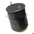 AUGER AU344570K02 - FUELLE TRASERO VOLVO  E6 22058741